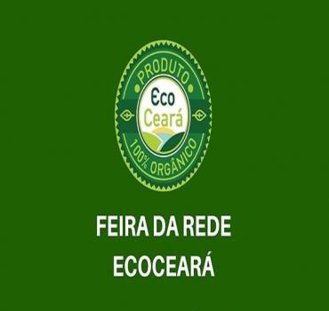 Agroecologia em Rede: Rede EcoCeará