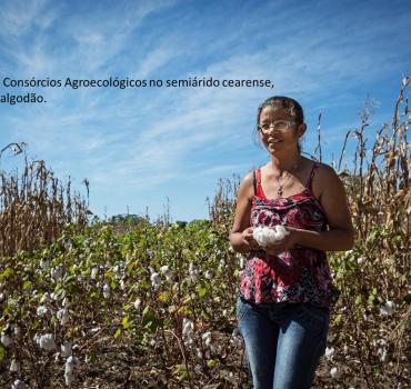 Consórcios Agroecológicos - produção de alimentos saudáveis