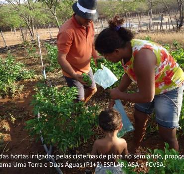 Cisternas para captação, manejo e utilização de água para produção de alimentos saudáveis